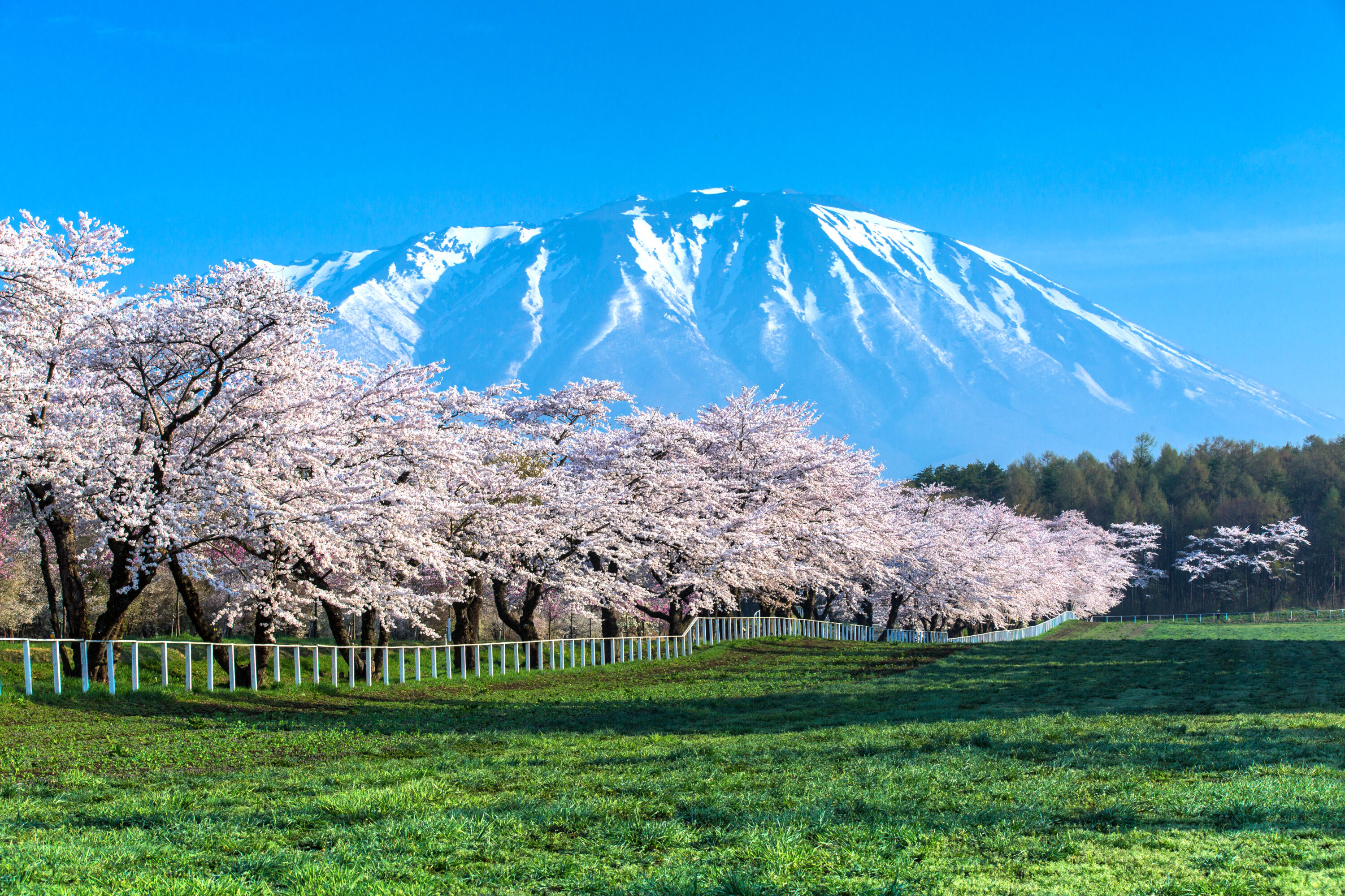 岩手县